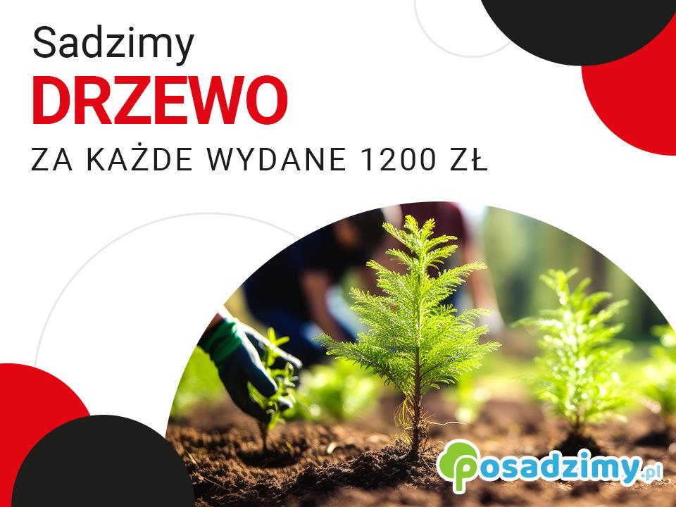 Współpraca z posadzimy.pl