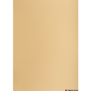 Karton kolorowy A3 160g 25ark jasnobrązowy 400150230 OXFORD