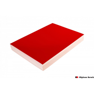 Karton CHROMOLUX czerwony A4 DOTTS  100 szt. okładki do bindowania