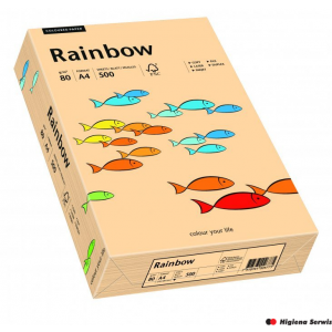 Papier xero kolorowy RAINBOW łosiosiowy R40 88042497