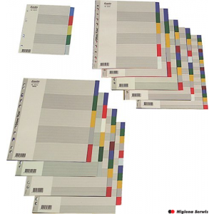 Przekładki OXFORD z kolorowego PP, A4, 20 kart 100204757