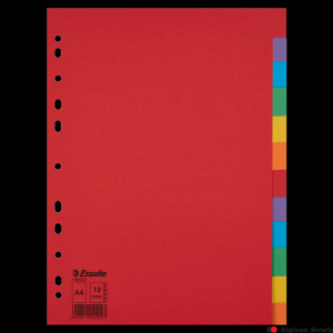 Przekładki karton A4 12 kart ESSELTE 100202 kolorowe bez karty opisowej